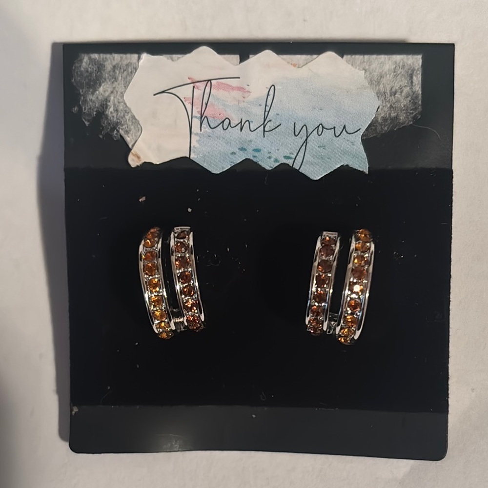 Boutique Elegant Silver Rust Copper Terracotta  Orange Crystal Earrings NEW